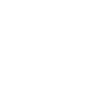 Customized Career Guidance